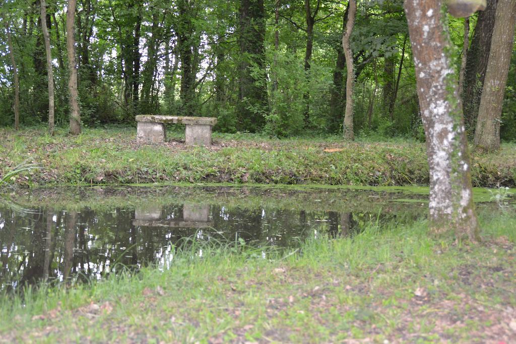 Gite De La Ronceraie Chaumont-sur-Loire Exteriör bild