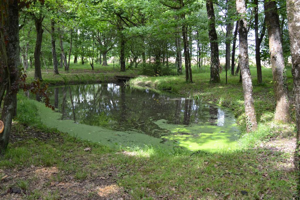 Gite De La Ronceraie Chaumont-sur-Loire Exteriör bild