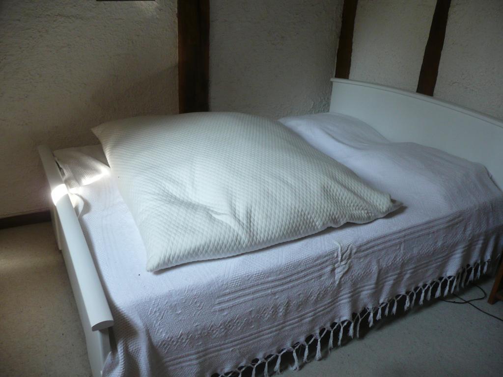 Gite De La Ronceraie Chaumont-sur-Loire Rum bild
